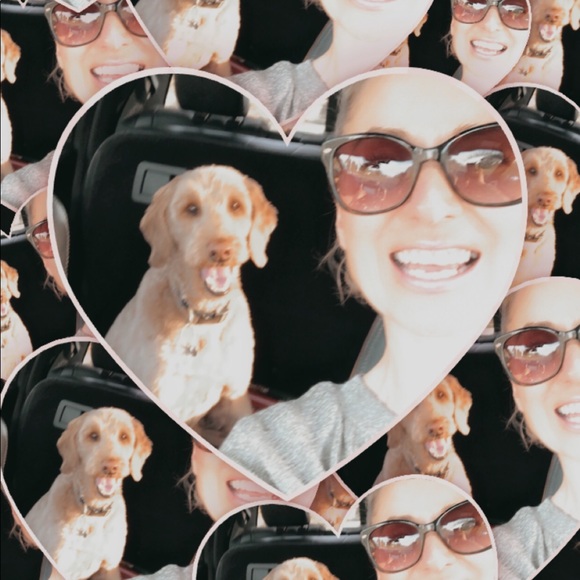 Meet your Posher, Sylvia - Picture 1 of 1